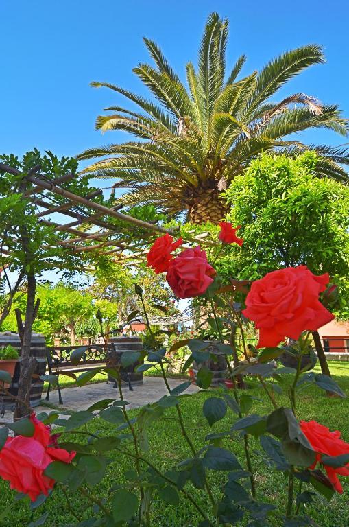 Othonas Apartments Sidárion Dış mekan fotoğraf